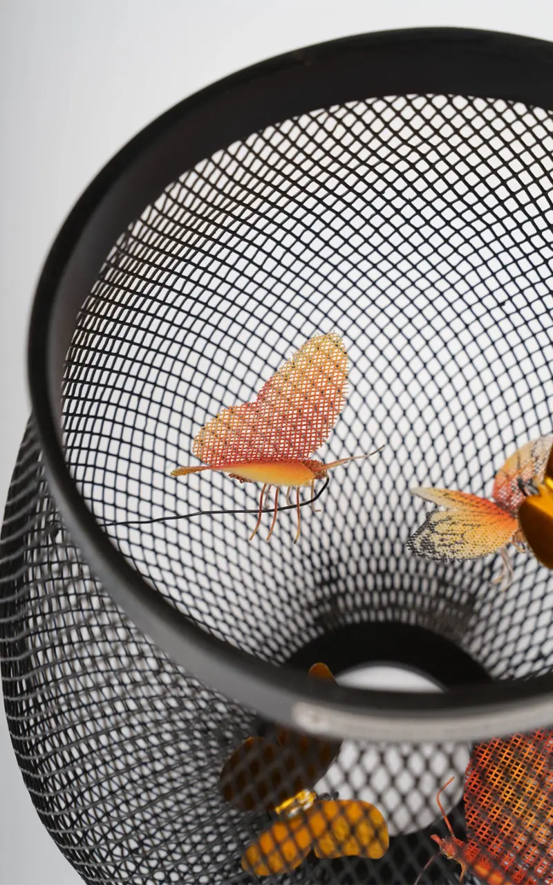Curio · Butterflies alighting on the black mesh