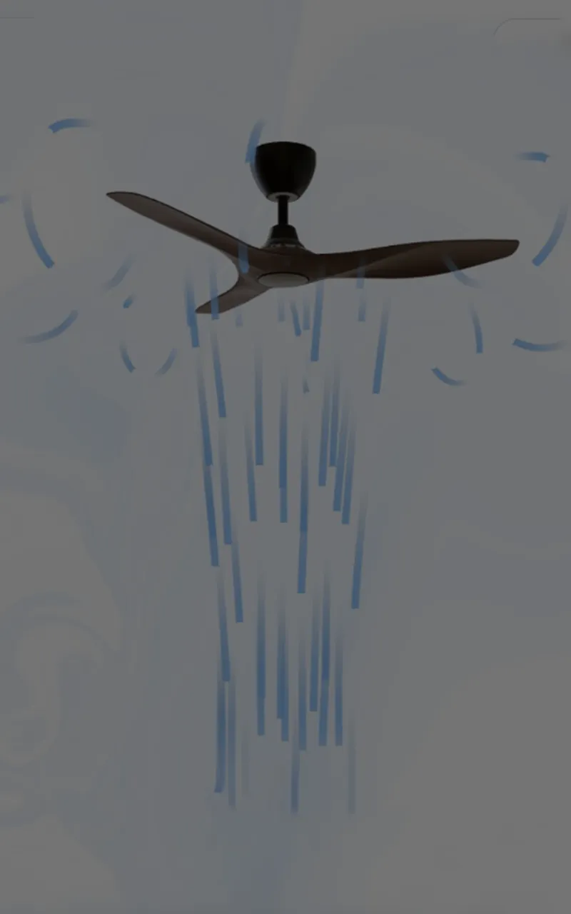 Aerahaus platform · 2
